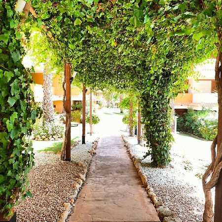 La Entrada Beach Club Torrevieja Exterior photo